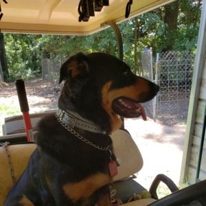 Meet your Posher, Chris